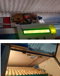 Egg hatchery monitoring system